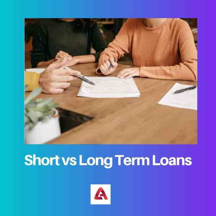Term loan loans long between business short difference